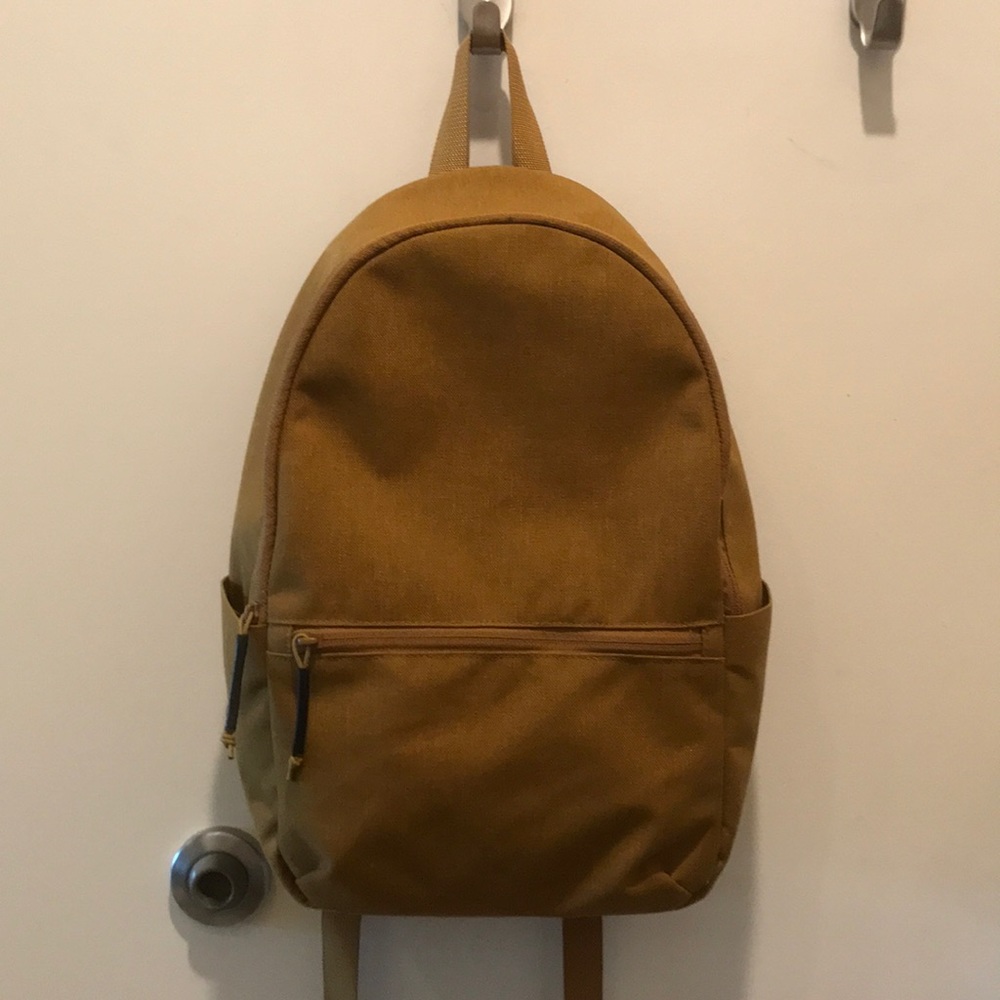 Everlane small backpack